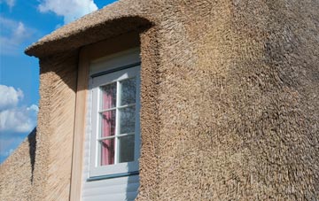 Cawton thatch roof disadvantages